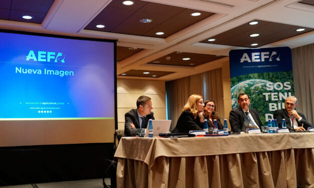 Nueva imagen corporativa AEFA