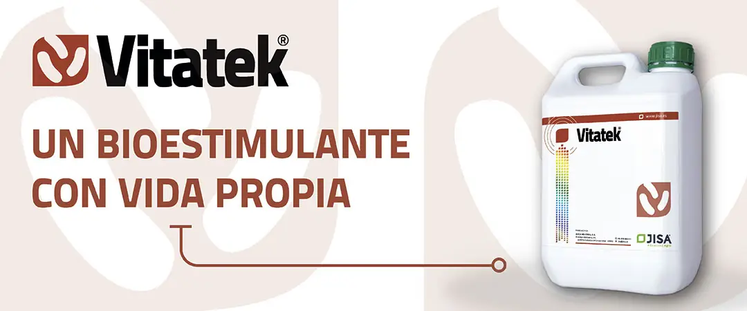 Producto Vitatek a base de consorcio de bacterias PGPR