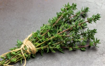 El tomillo como especia