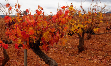 Recogidas itinerantes de envases agrícolas