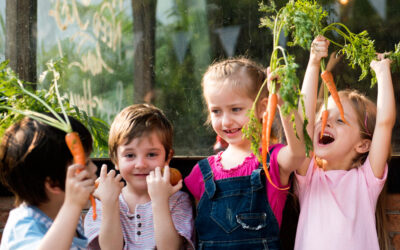 Cómo sembrar zanahorias con éxito