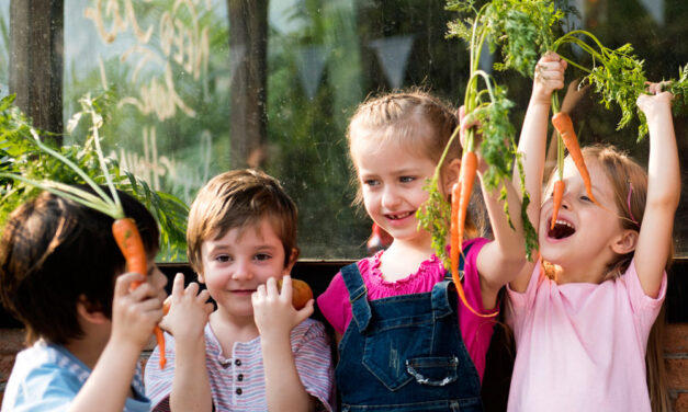 Cómo sembrar zanahorias con éxito