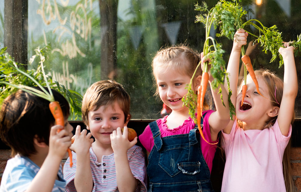 Cómo sembrar zanahorias con éxito