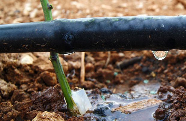 Materiales para riego  Jardinería TOT en U en Valencia