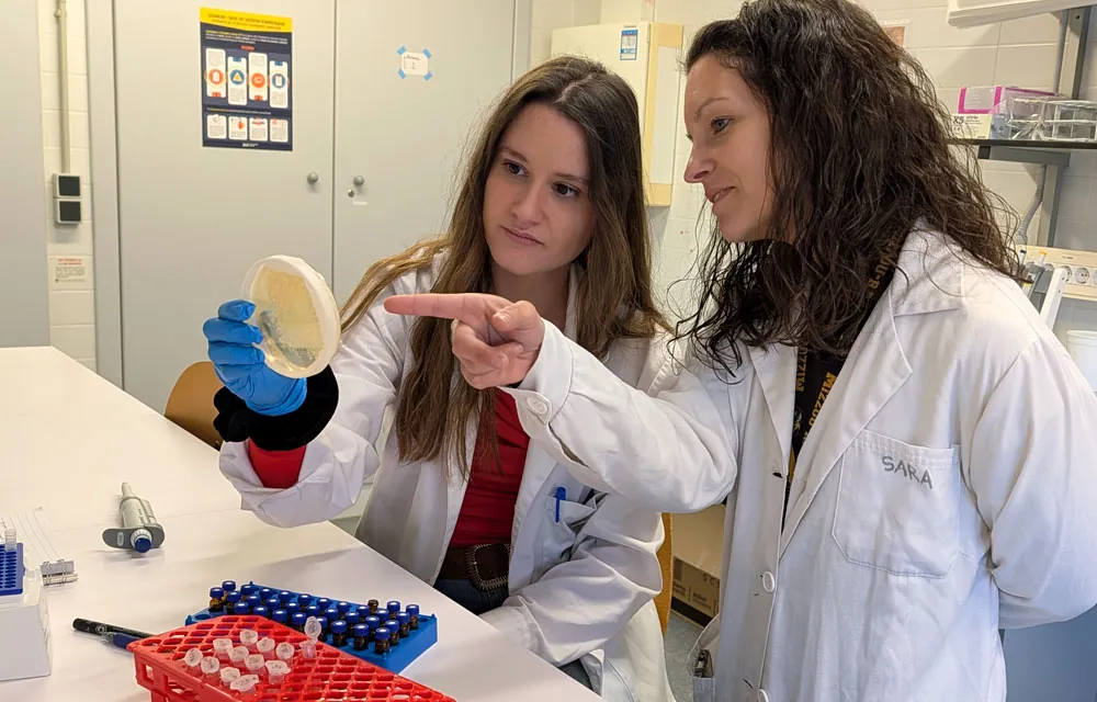 La gestión del estrés multifactorial en la producción hortofrutícola