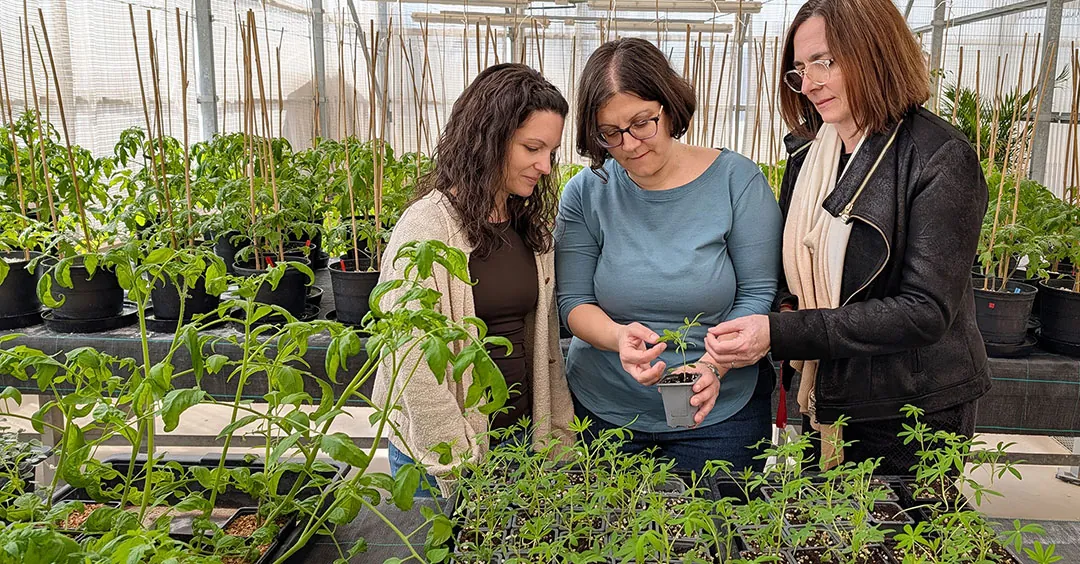 Sara Izquierdo Zandalinas y su equipo analizando muestras