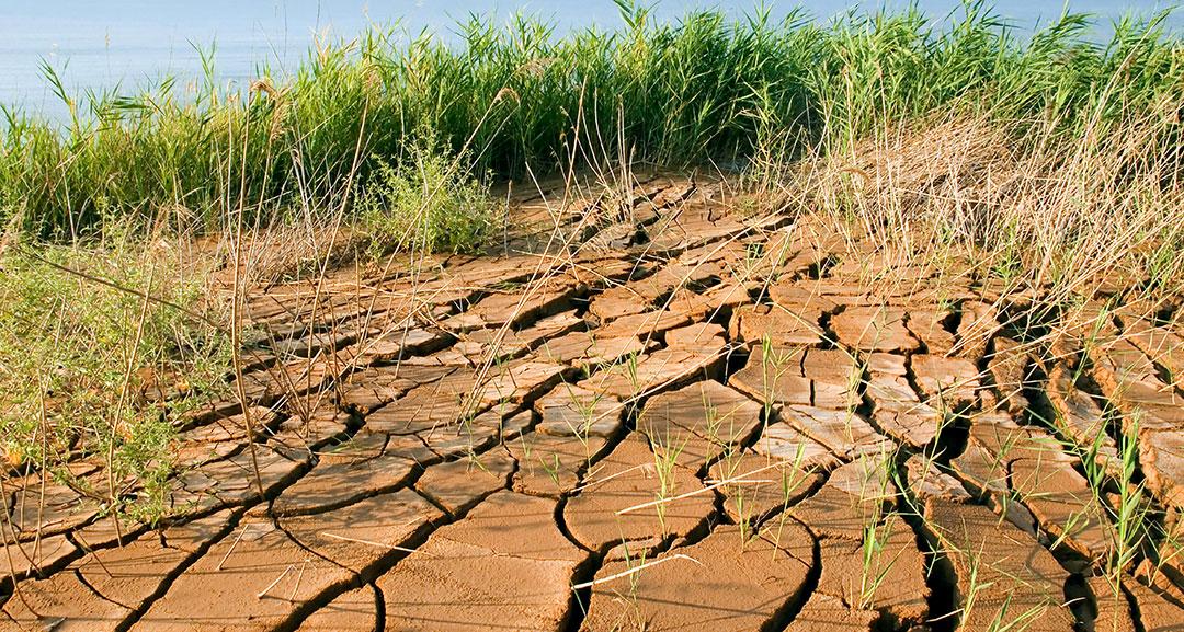 Suelo agrícola degradado