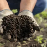 El humus agrícola