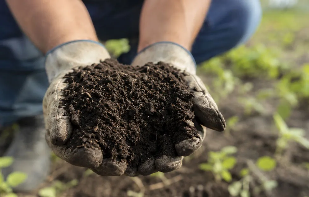 El humus agrícola