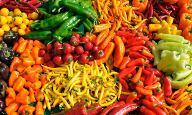 Tipos de pimiento