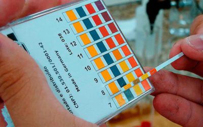 Papel tornasol para medir el ph