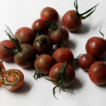 Tomate chocolate
