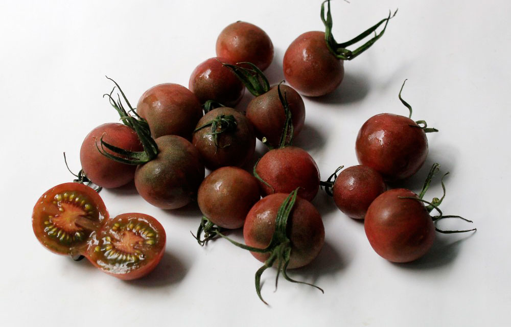 dos Migración salado Tomate chocolate | El huerto urbano :: El huerto en casa