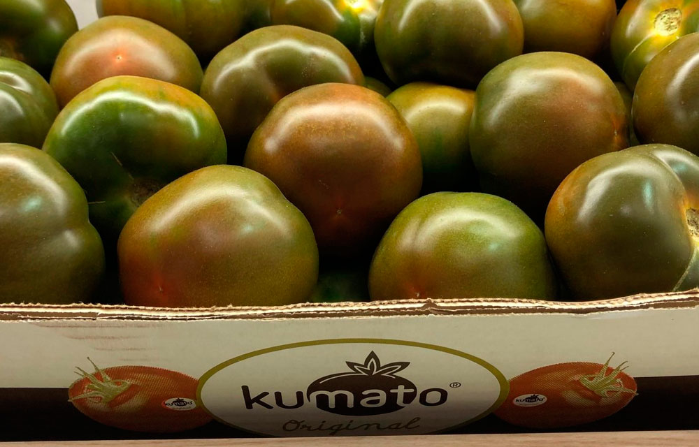 Tomate Kumato