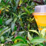 Trampas agrícolas de captura y monitoreo