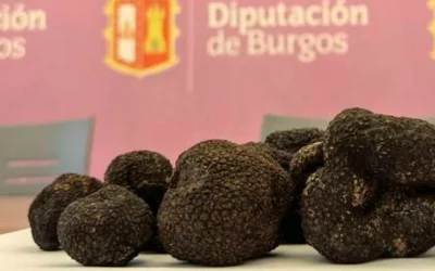Feria de la Trufa Negra de Burgos
