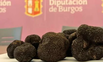 Feria de la Trufa Negra de Burgos