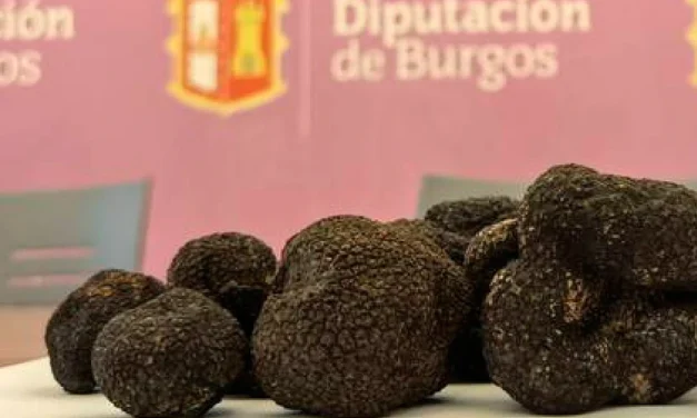 Feria de la Trufa Negra de Burgos