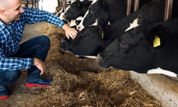 Recogida de todos los envases agrícolas y ganaderos