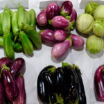 Variedades de berenjena