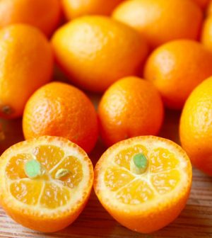 Variedades de kumquat