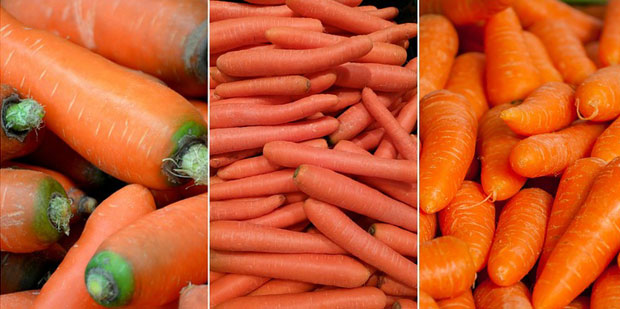 Variedades de zanahorias