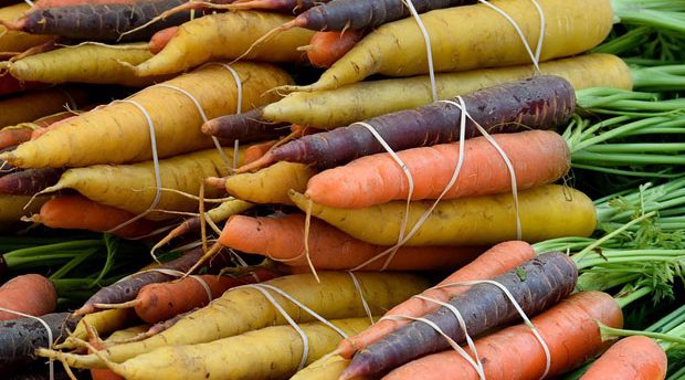 Variedades de zanahorias