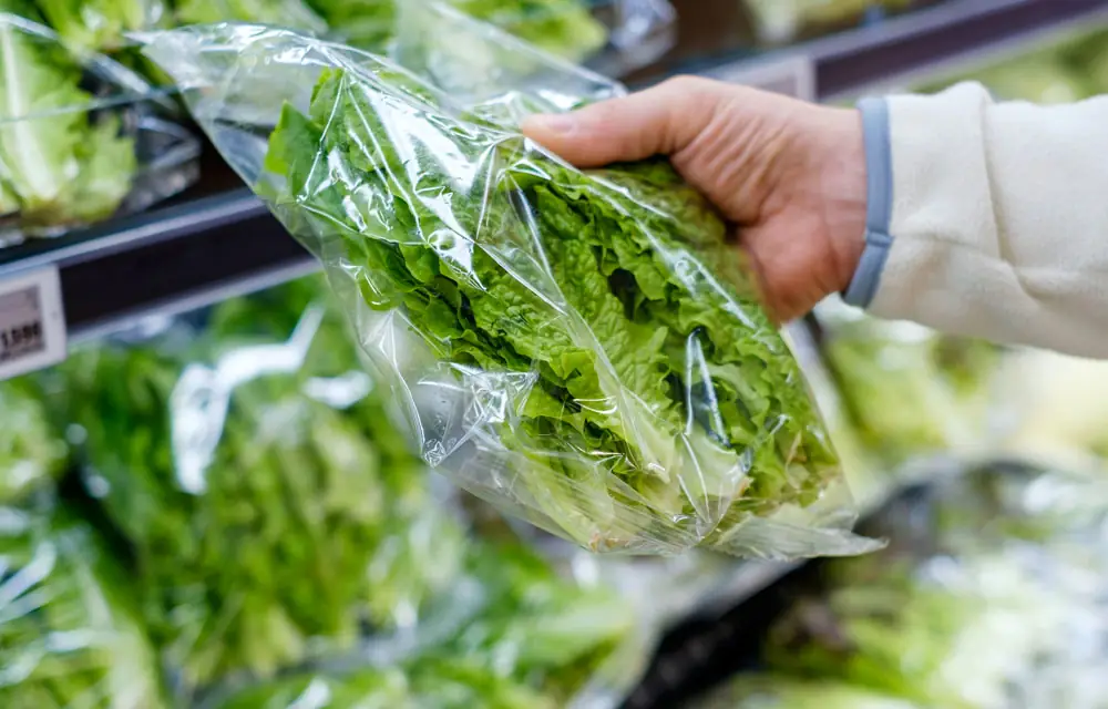 Verduras en cuarta Gama