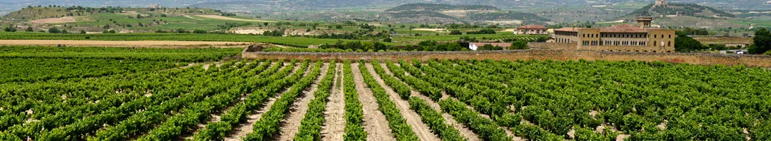 Vinos de Pago (VP) de España