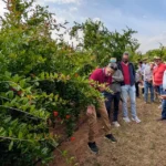 Jornada sobre el potencial de la agricultura de precisión