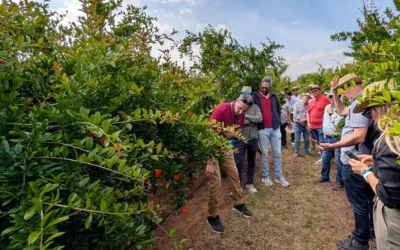 Jornada sobre el potencial de la agricultura de precisión