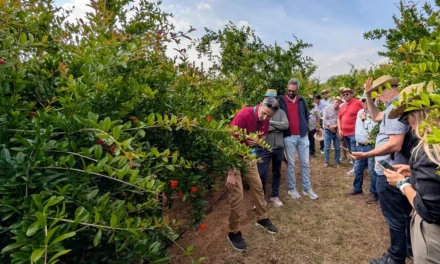 Jornada sobre el potencial de la agricultura de precisión