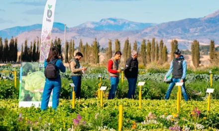 Novedades hortícolas en el Bejo Open Days de Murcia