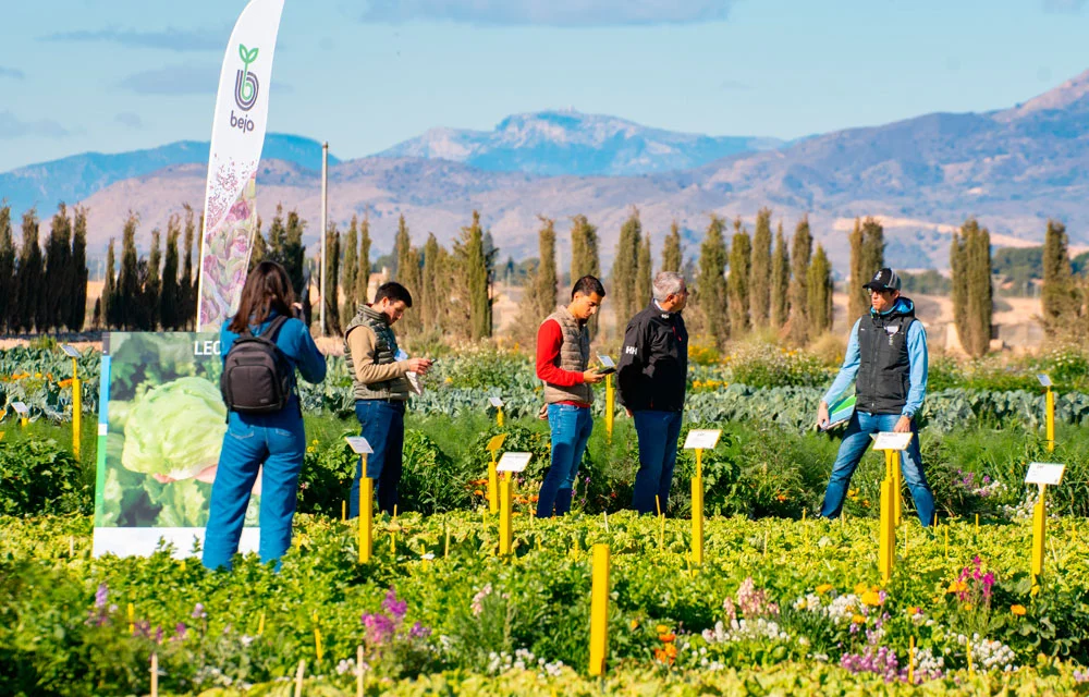 Novedades hortícolas en el Bejo Open Days de Murcia