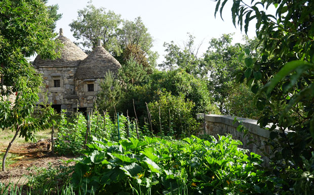 El huerto urbano de Agustín y Pilar