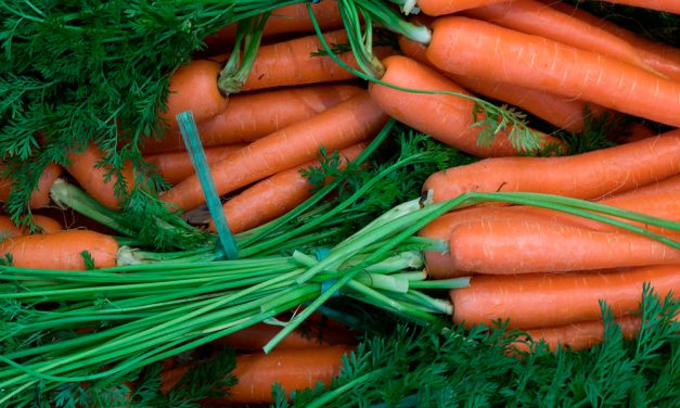 Ficha técnica del cultivo de la zanahoria
