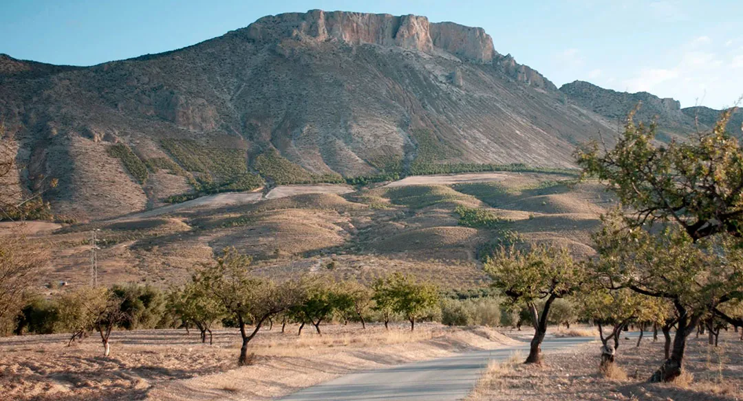 Zona de la Almendrehesa